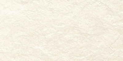 Керамогранит RIVERSTONE WHITE MATT FON 60*120