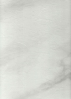 Кварцевый ламинат Fargo Stone Белый Мрамор 6089-1 600х300х4мм