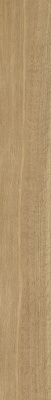 КЕРАМОГРАНИТ ЭТЕРНУМ РОВЕРЭ 20X160 РЕТ