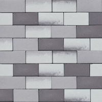 Тротуарная плитка Прямоугольник Лайн ST Оникс, гладкая