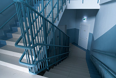 Школа Эволюция