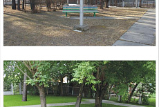 Брусчатка из камня