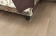 Пробковые полы WOOD XL Oak Milch 1235х200х6 мм клеевые