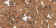 Пробковое настенное покрытие Wall Design Monte White 600х300х3 мм 