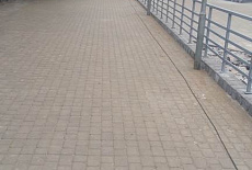 Сквер в Академгородке