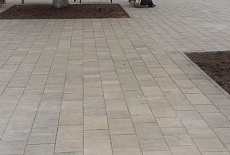 Сквер в Академгородке