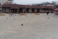 Сквер в Академгородке