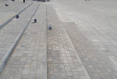 Сквер в Академгородке