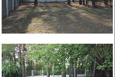 Брусчатка из камня