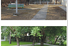 Брусчатка из камня