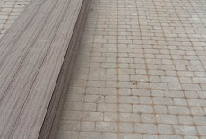 Сквер в Академгородке