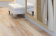 Пробковые полы WOOD XL Oak Gekalkte new 1235х200х6 мм клеевые