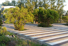 Остров Юность