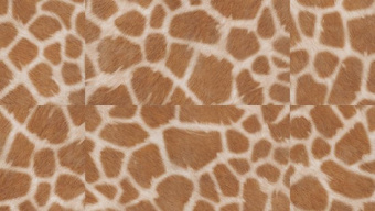 Плитка ПВХ BENNY 457,2х457,2 (2,09 уп)