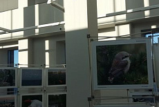 Визит центр