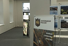 Визит центр